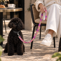 Laisse pour chien FRAGMENTO CROMA